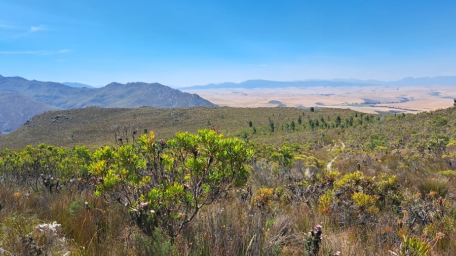 0 Bedroom Property for Sale in Caledon Rural Western Cape